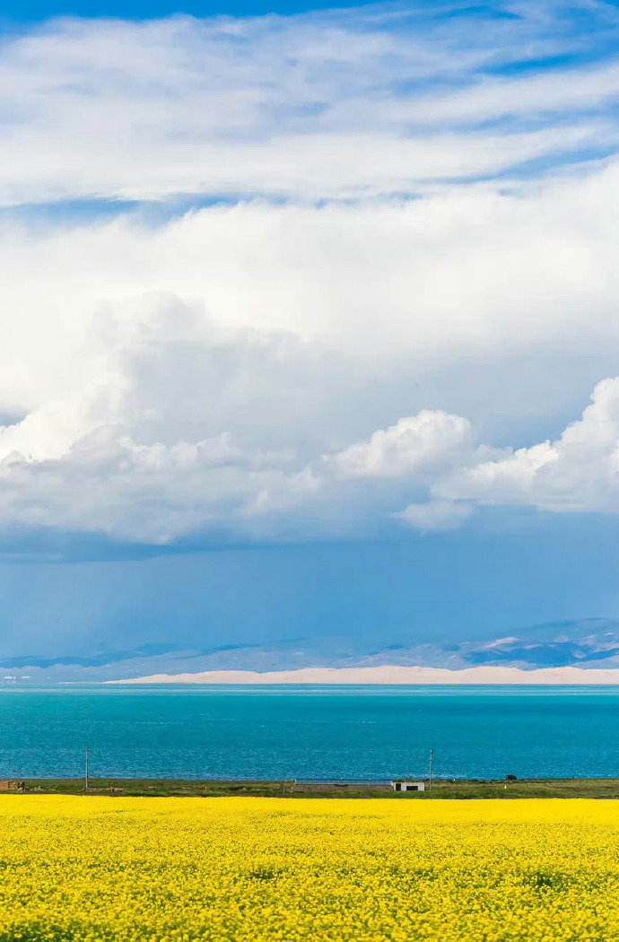 青海智造引领未来，青海高科技产品新纪元